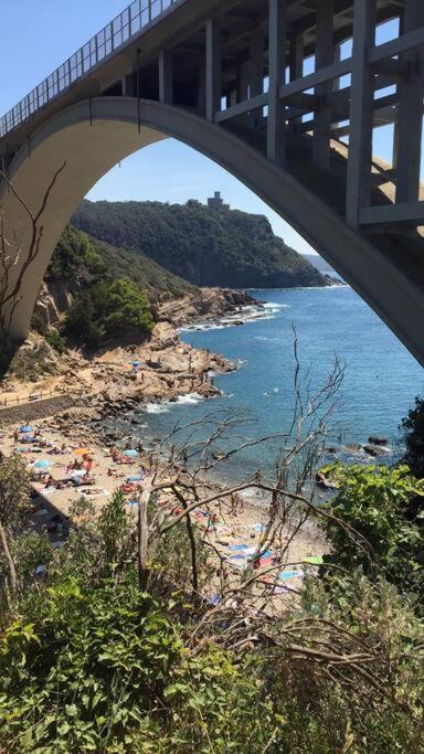 Centro Citta Con Le Comodita Livorno Dış mekan fotoğraf